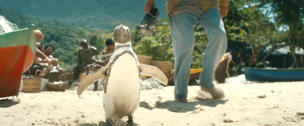 My Penguin Friend（原題）の画像