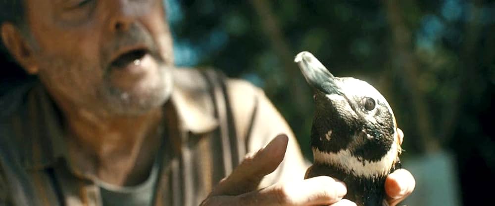 My Penguin Friend（原題）の画像