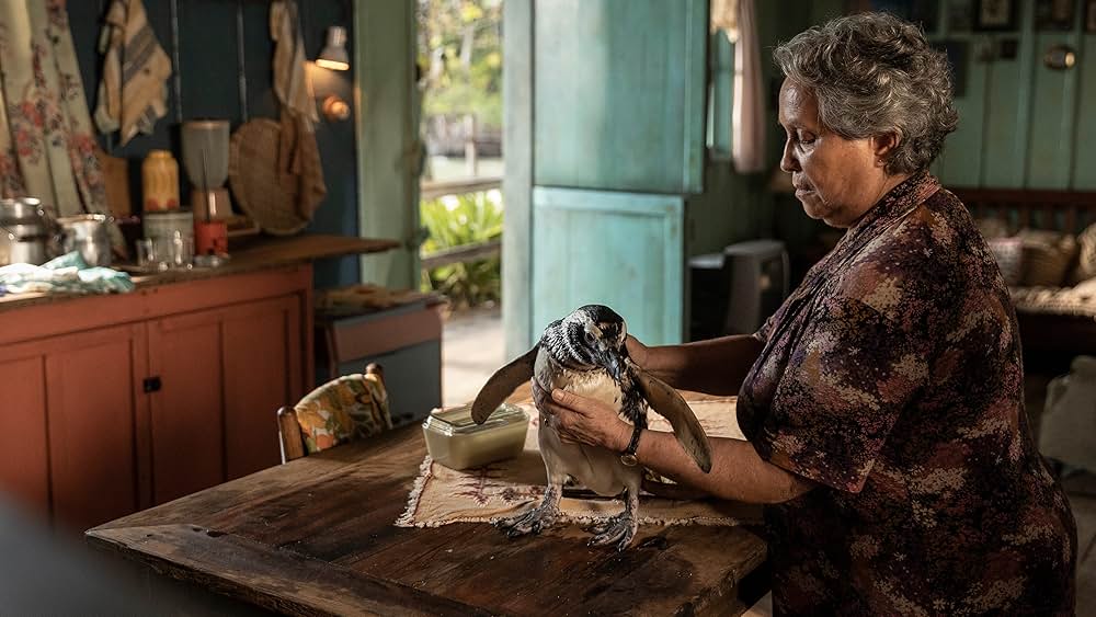 My Penguin Friend（原題）の画像