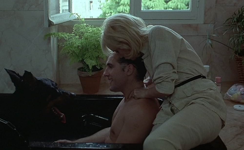 Maîtresse（原題）の画像