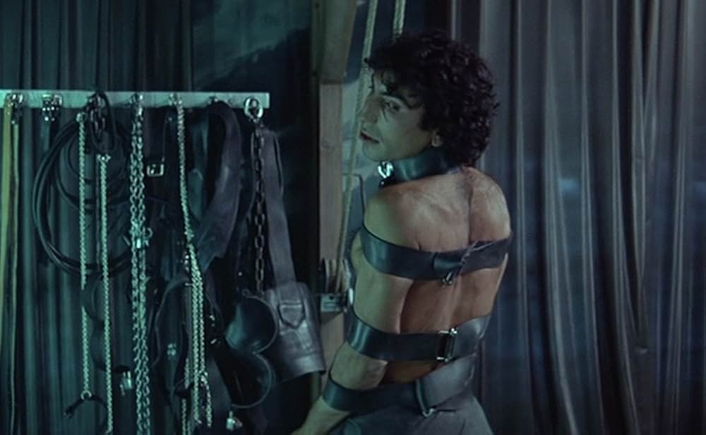 Maîtresse（原題）の画像