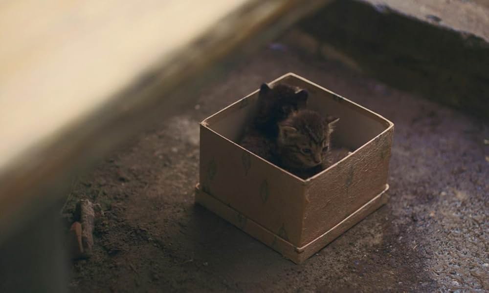 遠い山なみの光の画像