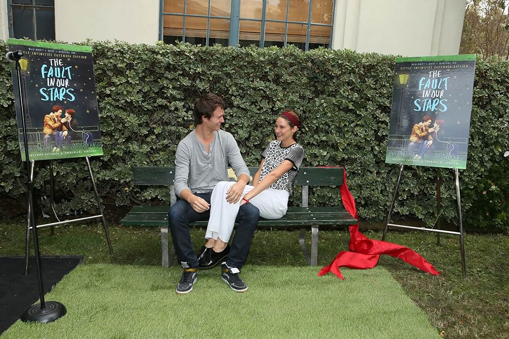 きっと、星のせいじゃない。の画像