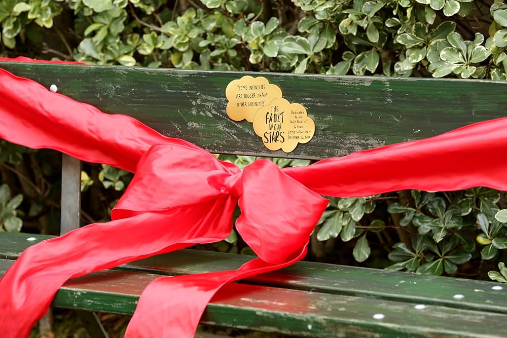 きっと、星のせいじゃない。の画像