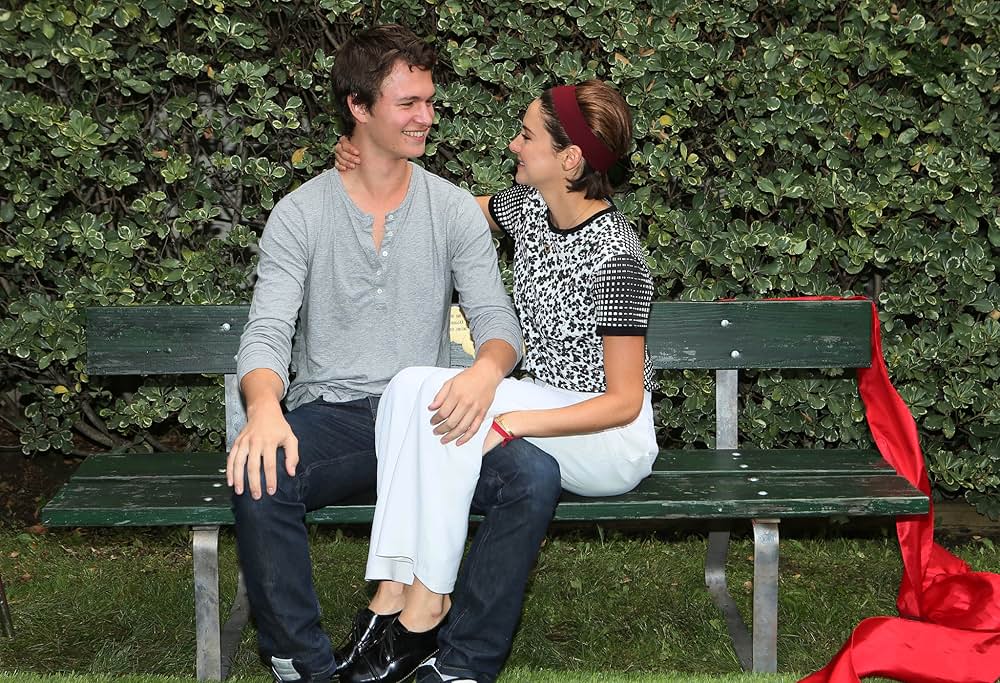 きっと、星のせいじゃない。の画像