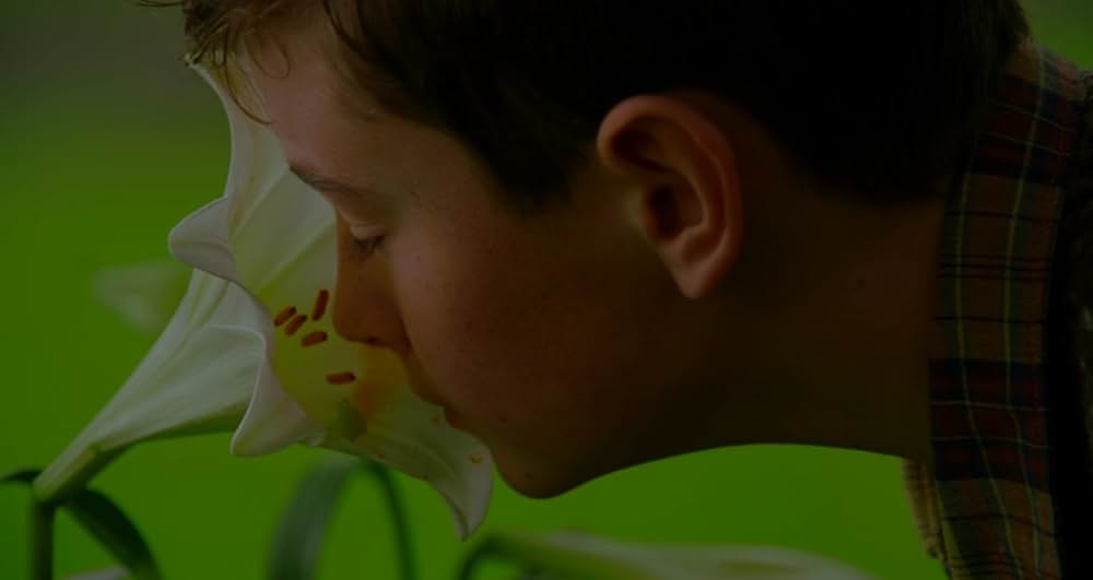 Wild Mountain Thyme（原題）の画像