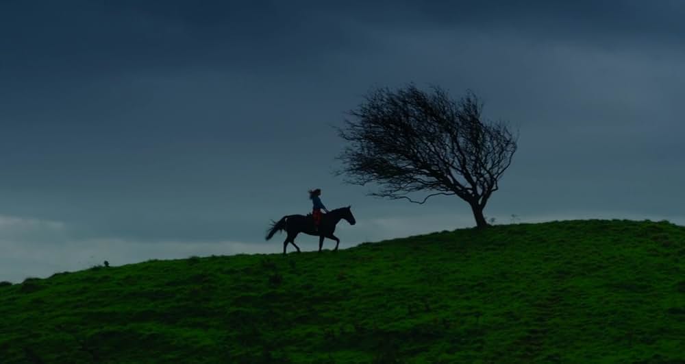 Wild Mountain Thyme（原題）の画像