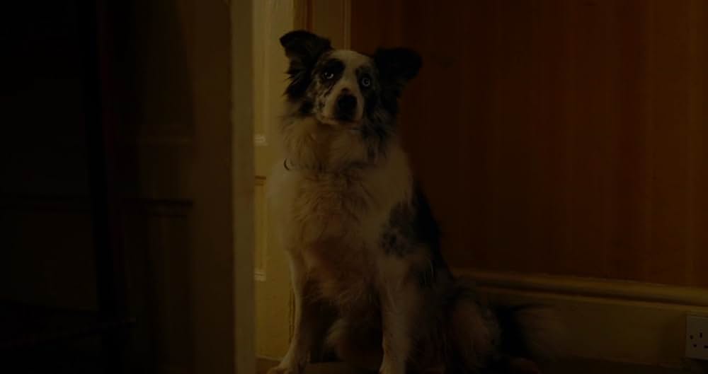 Wild Mountain Thyme（原題）の画像