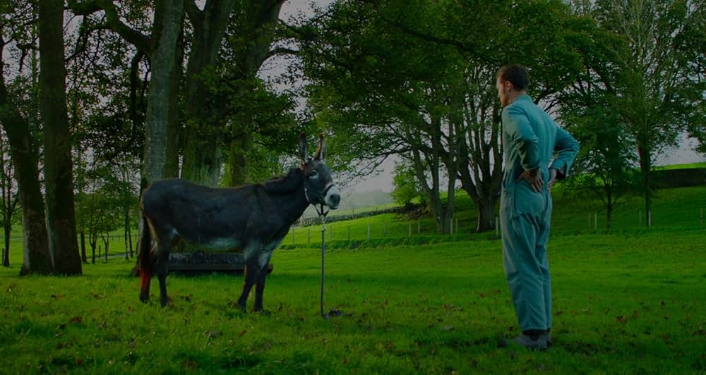 Wild Mountain Thyme（原題）の画像