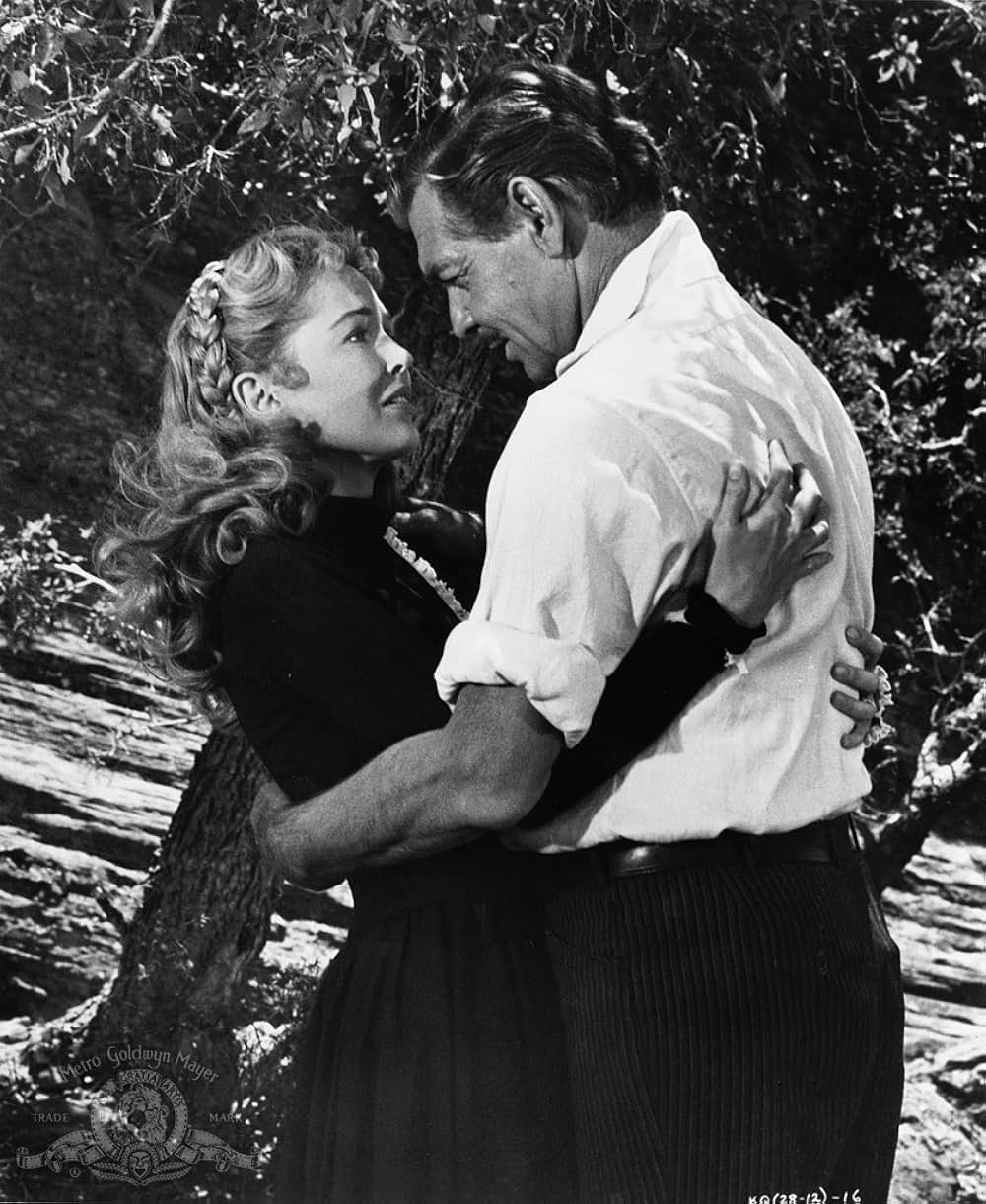 ながれ者の画像