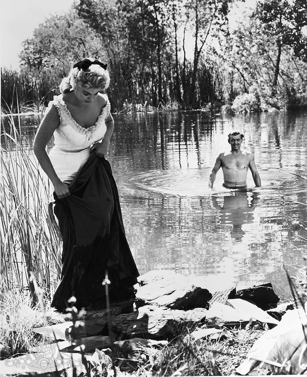 ながれ者の画像