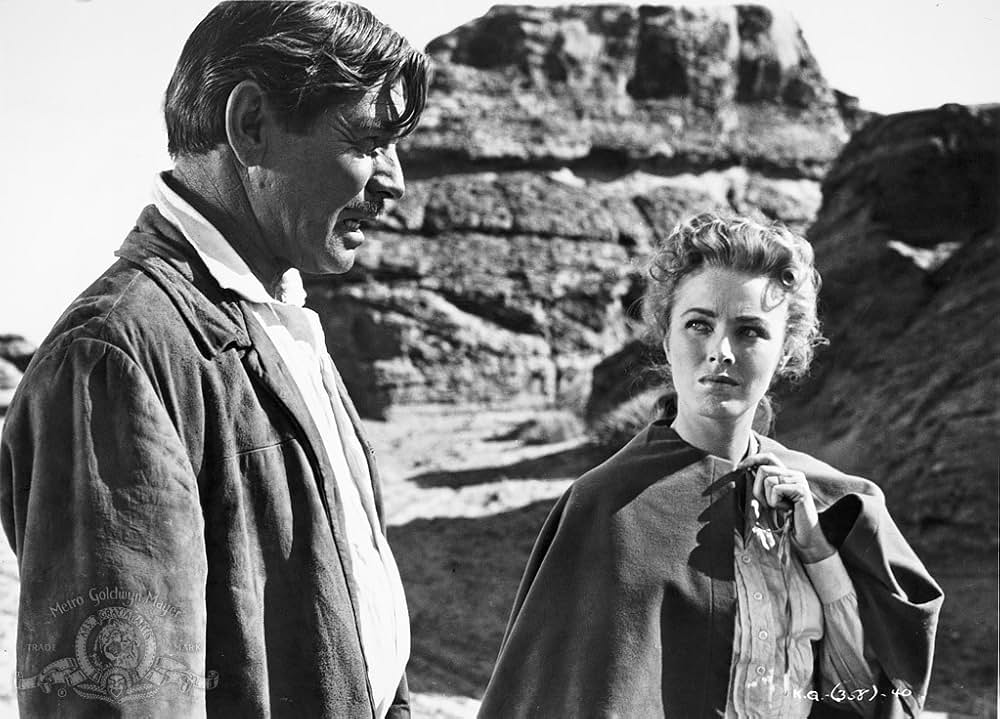 ながれ者の画像