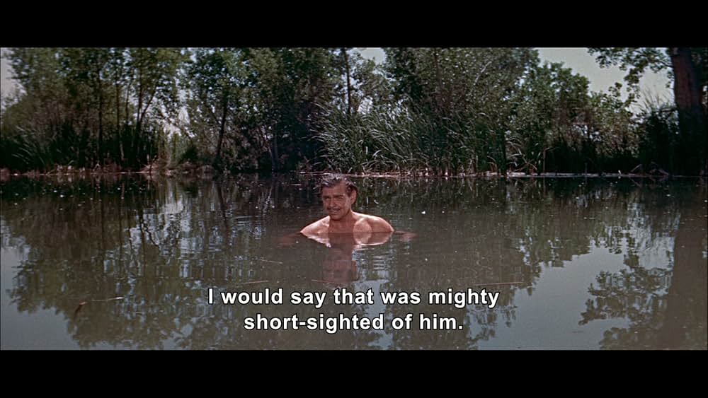 ながれ者の画像