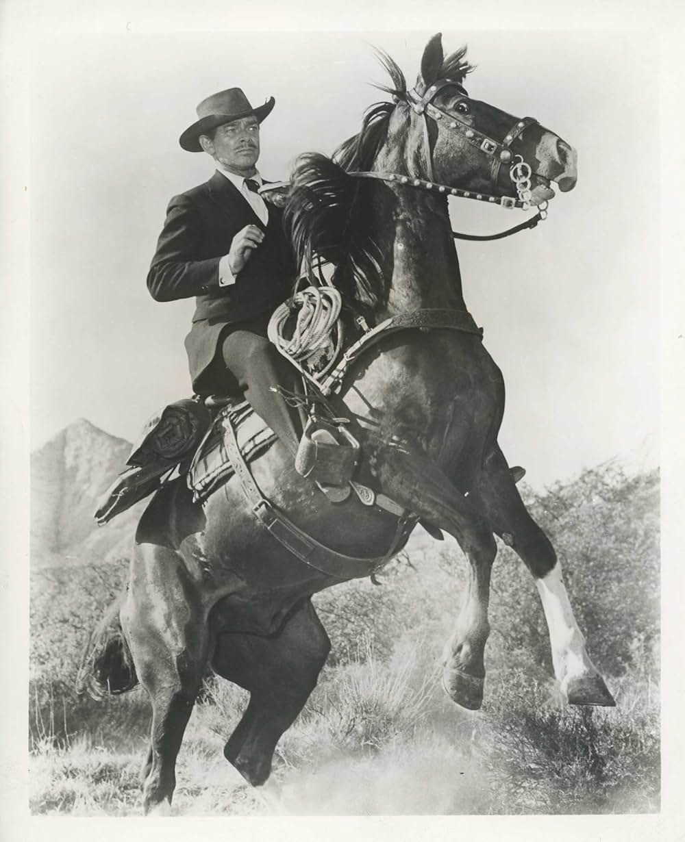 ながれ者の画像