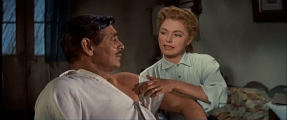 ながれ者の画像