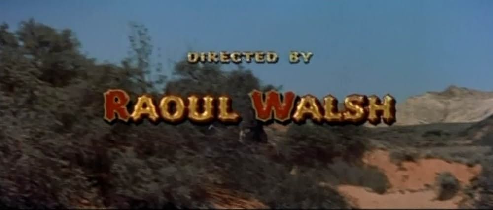 ながれ者の画像