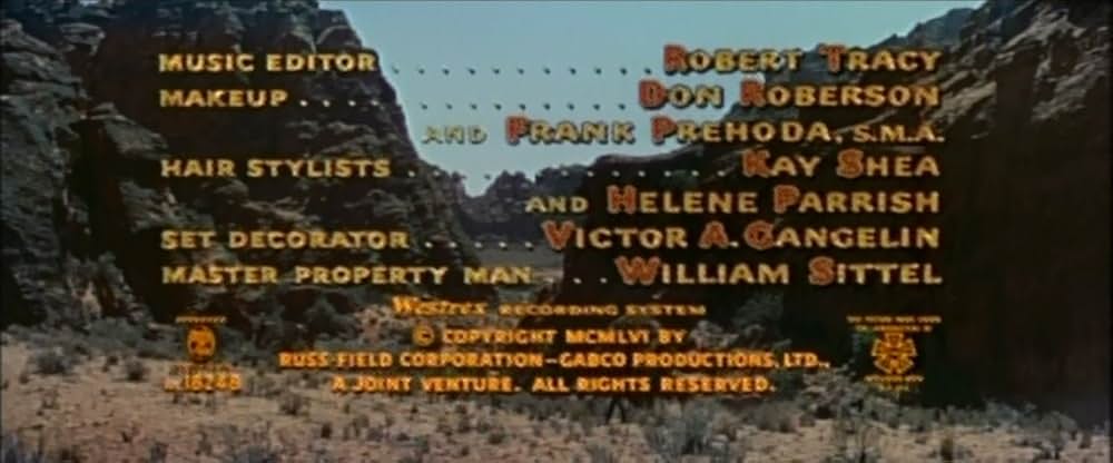 ながれ者の画像