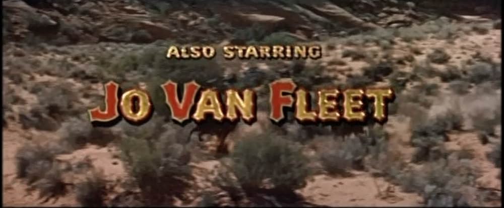 ながれ者の画像