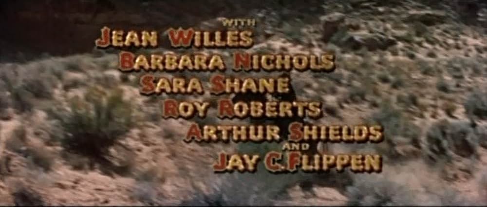 ながれ者の画像