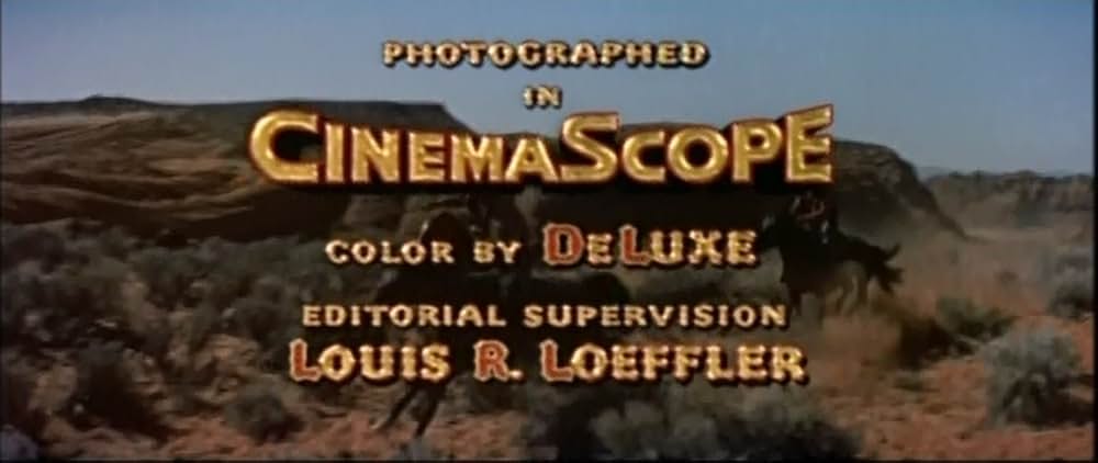 ながれ者の画像