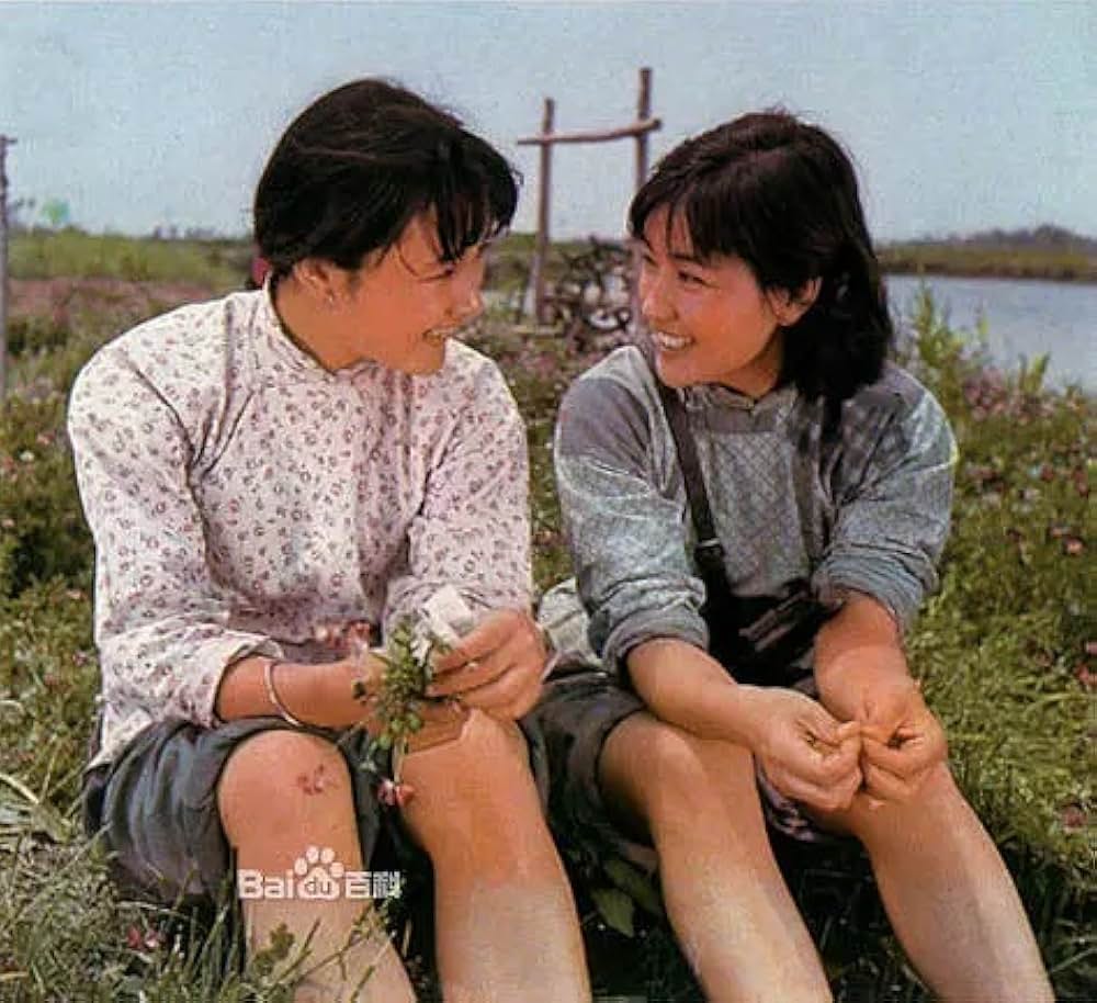 戦場の花の画像