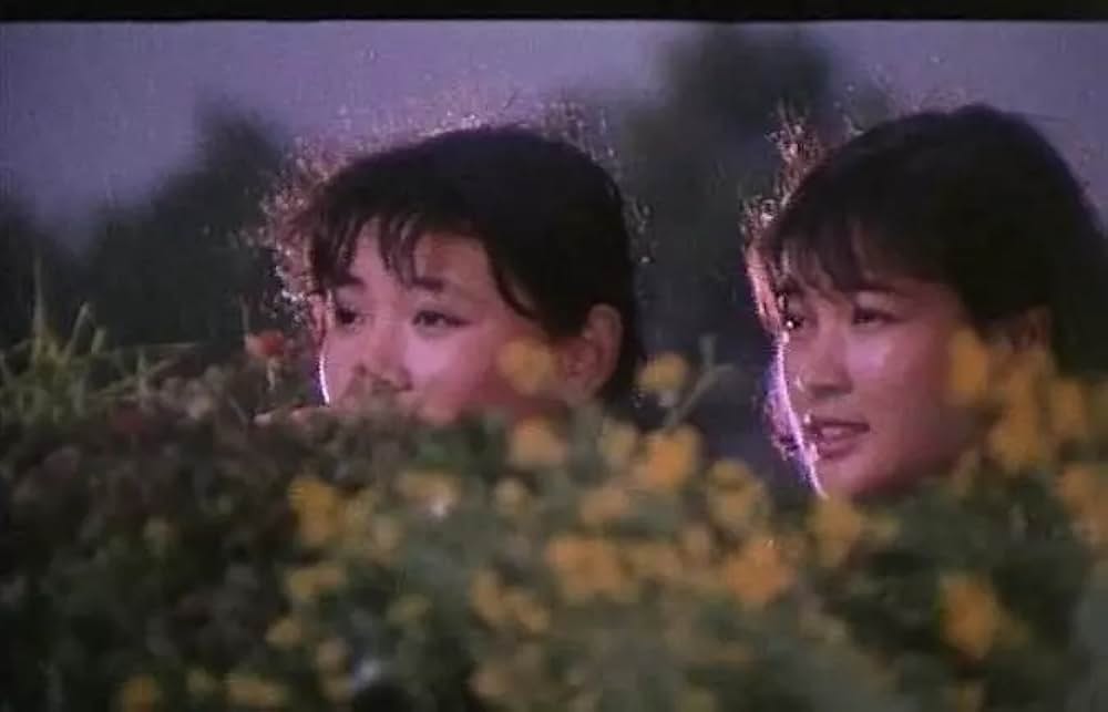 戦場の花の画像