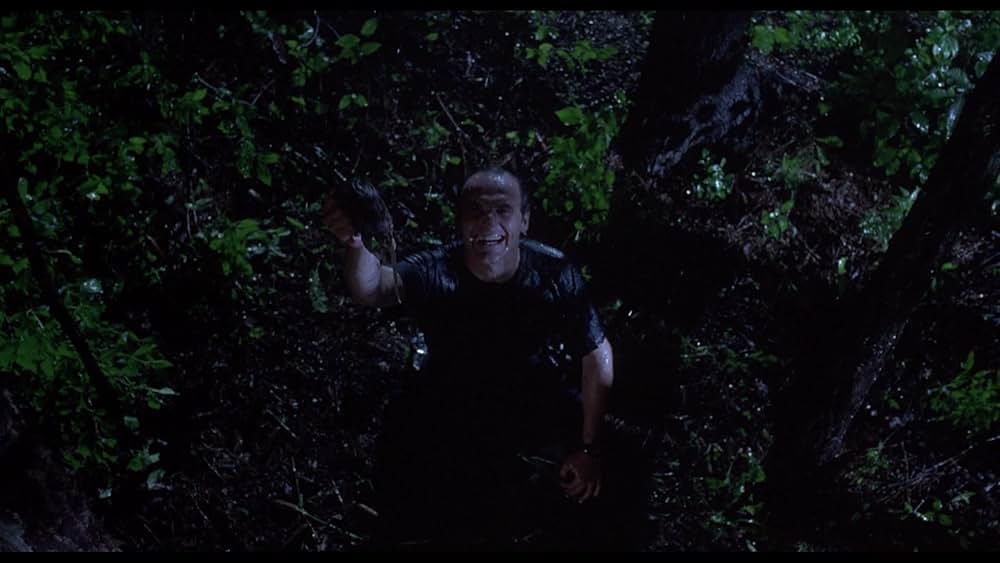 Mr.デーヴの画像