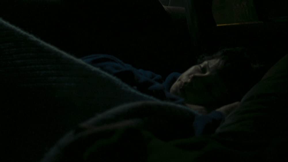 「ウェンディ&ルーシー」ミシェル・ウィリアムズの画像