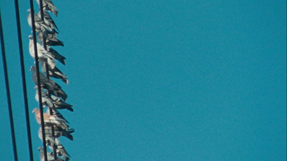 ウェンディ&ルーシーの画像