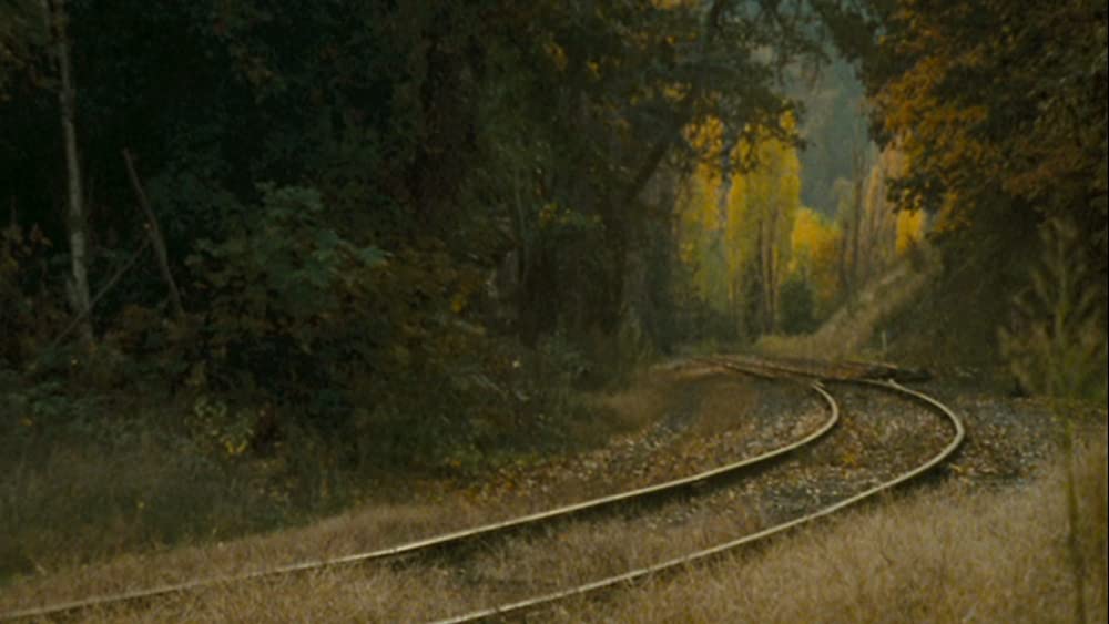 ウェンディ&ルーシーの画像