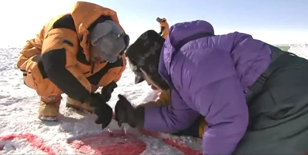 南極料理人の画像