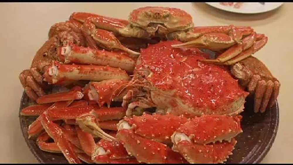 南極料理人の画像