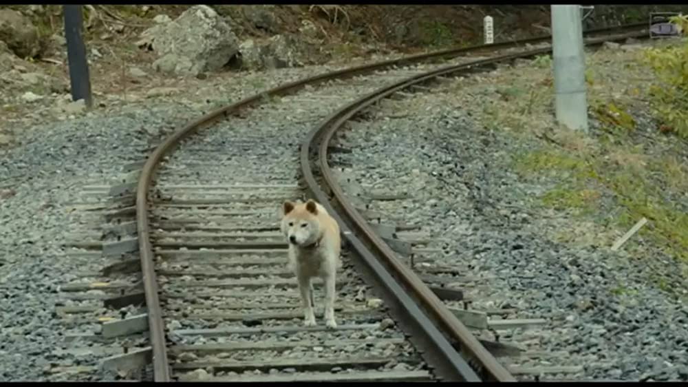 サバイバルファミリーの画像