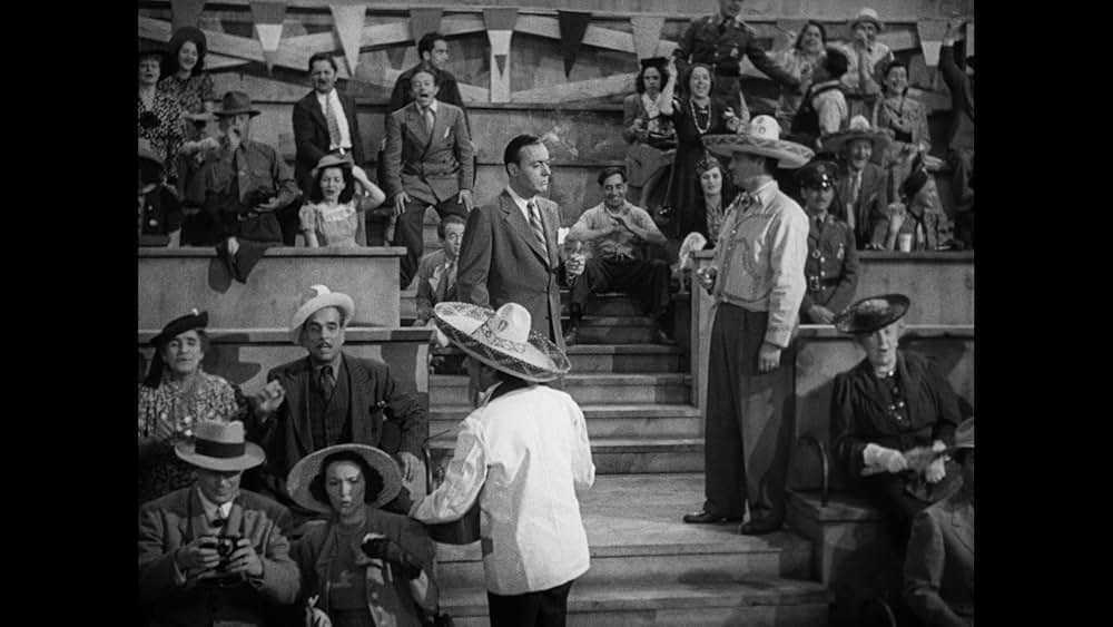 国境の南の画像