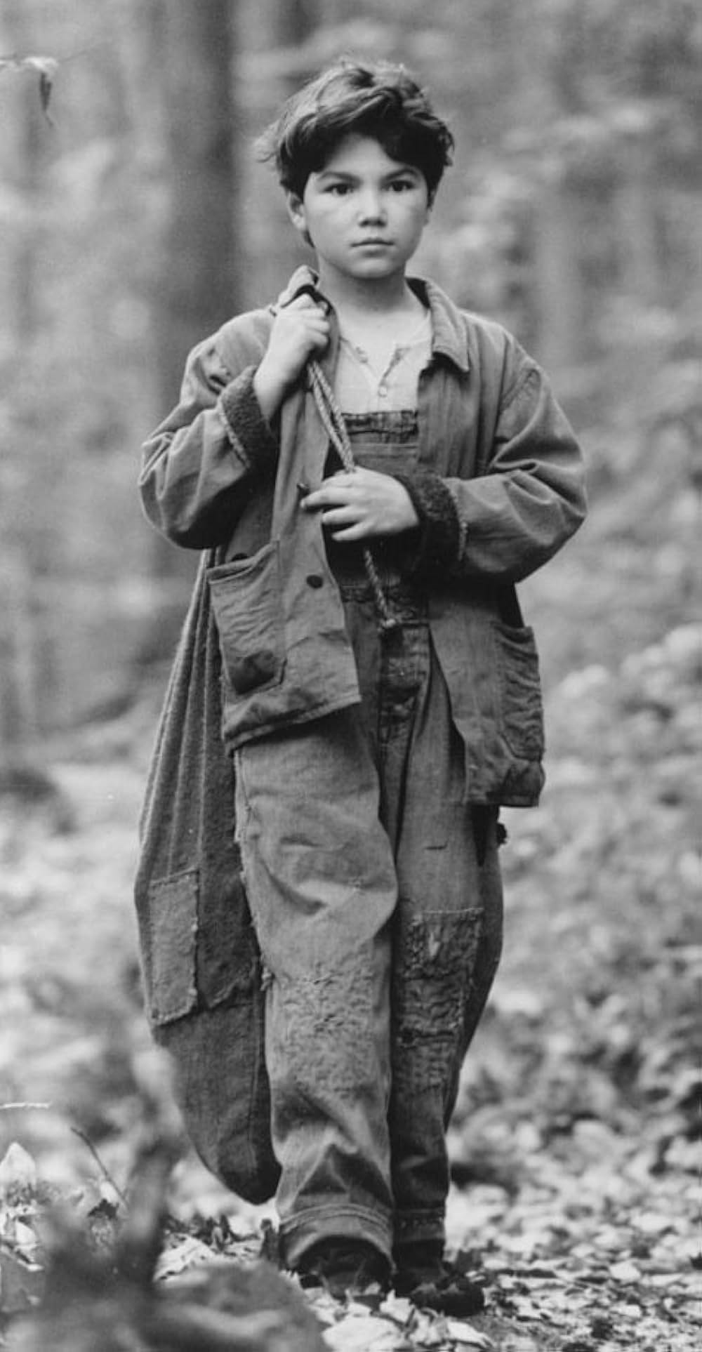 リトル・トリーの画像