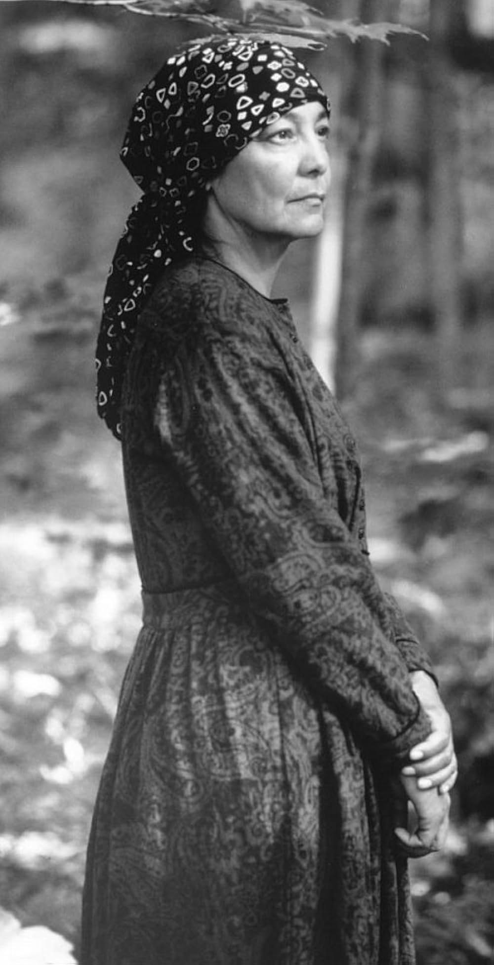 リトル・トリーの画像