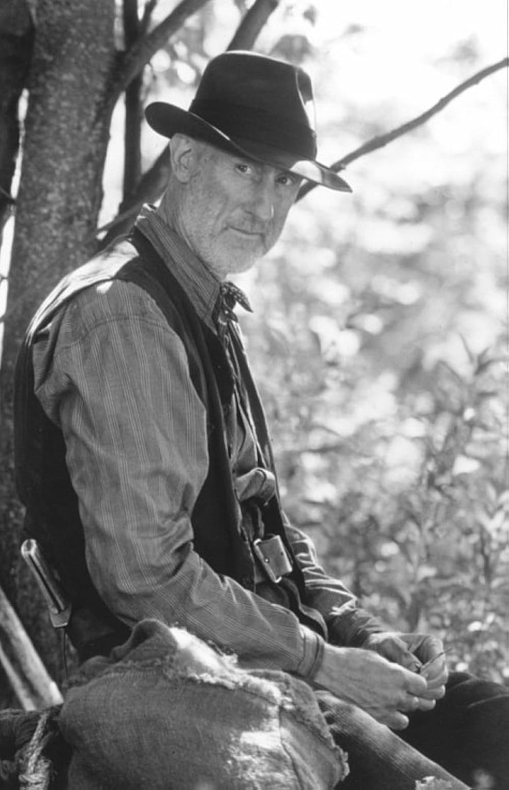 リトル・トリーの画像