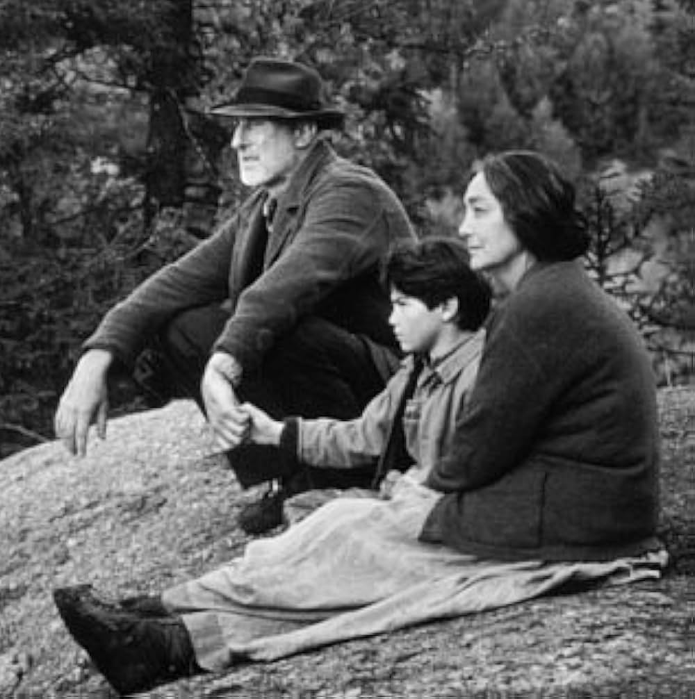 リトル・トリーの画像