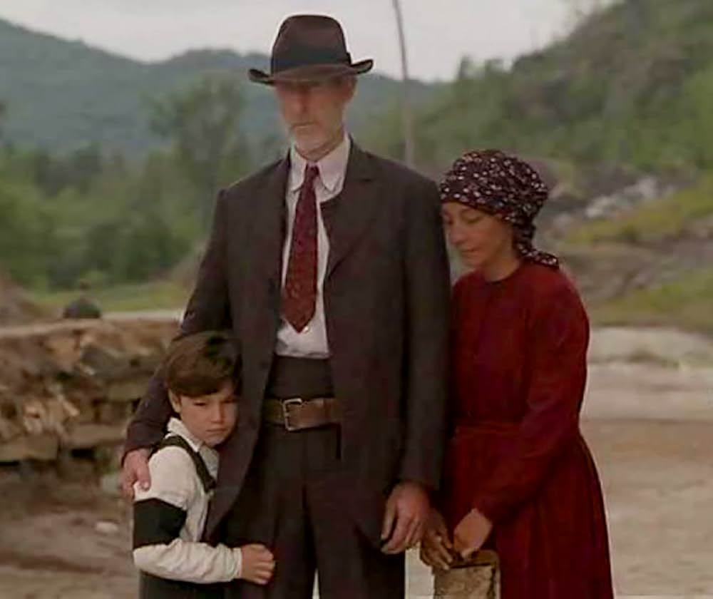 リトル・トリーの画像