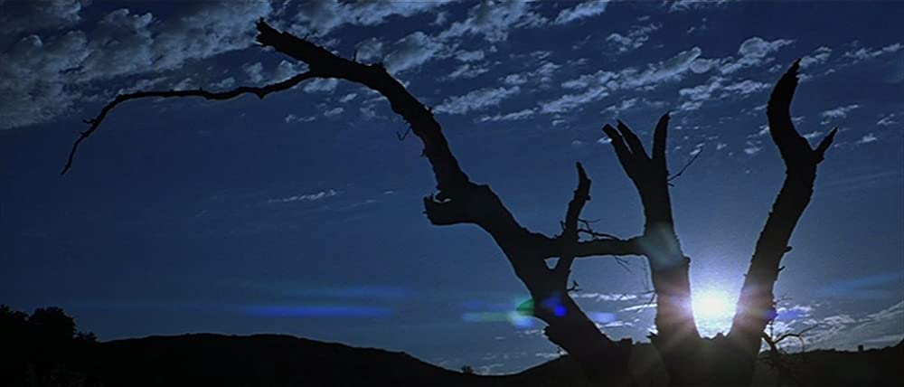 ドニー・ダーコの画像