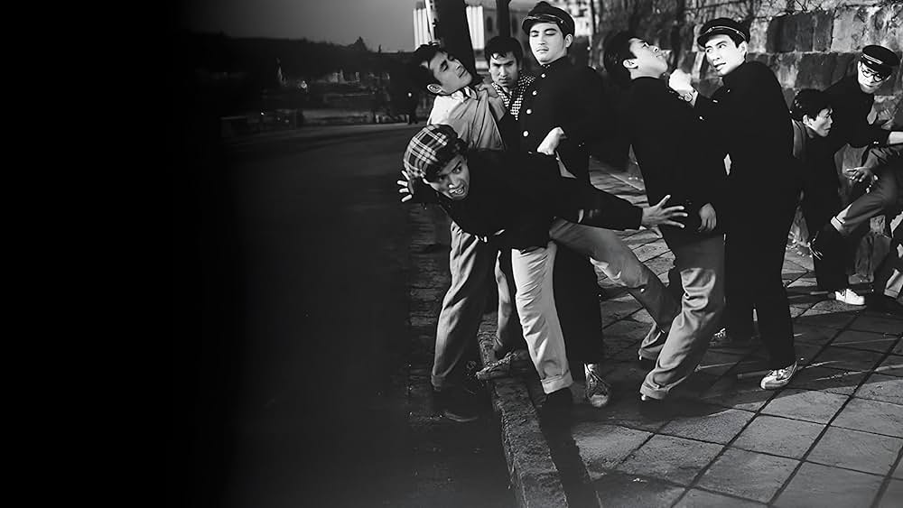 台風息子 最高殊勲の巻の写真