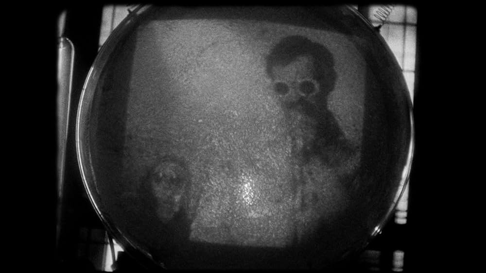 LOLA（原題）の画像