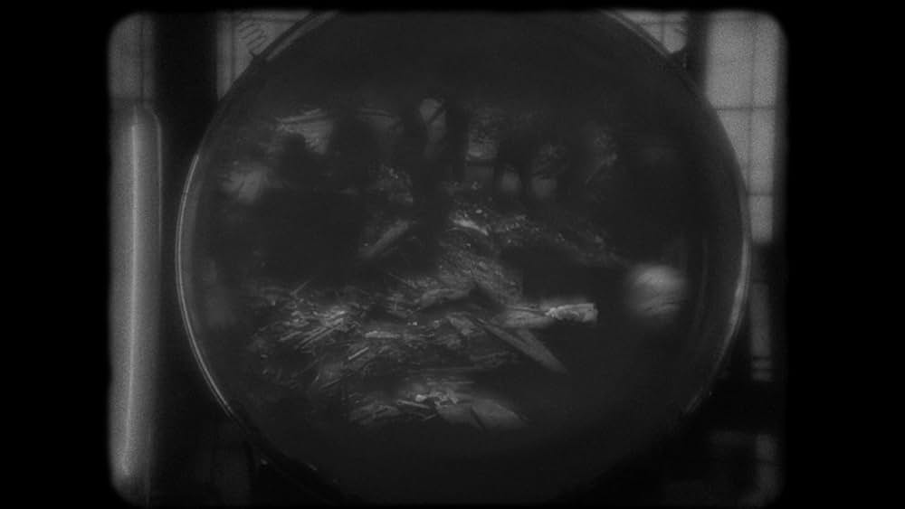 LOLA（原題）の画像