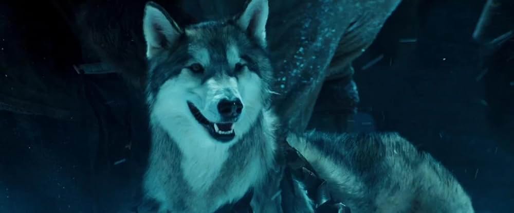 トランスフォーマーの画像