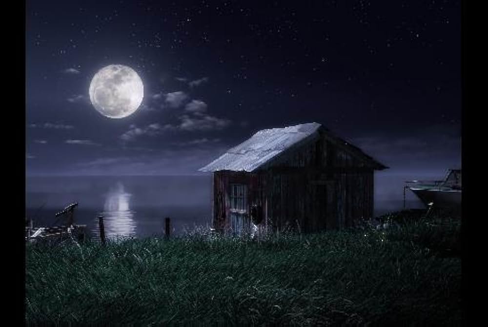 ナットのスペースアドベンチャー3Dの画像