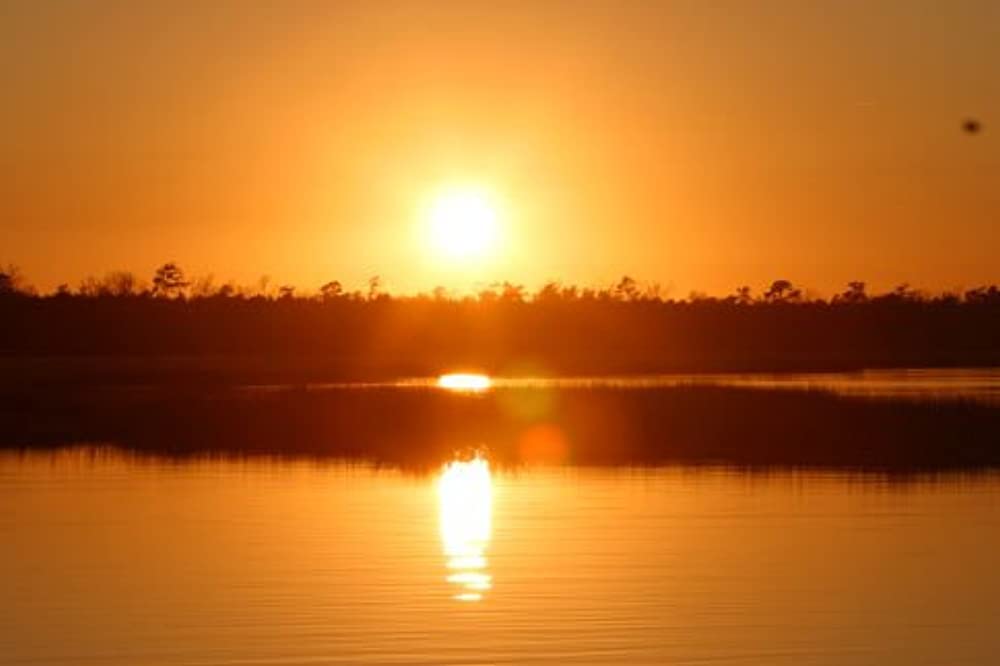 きみに読む物語の画像