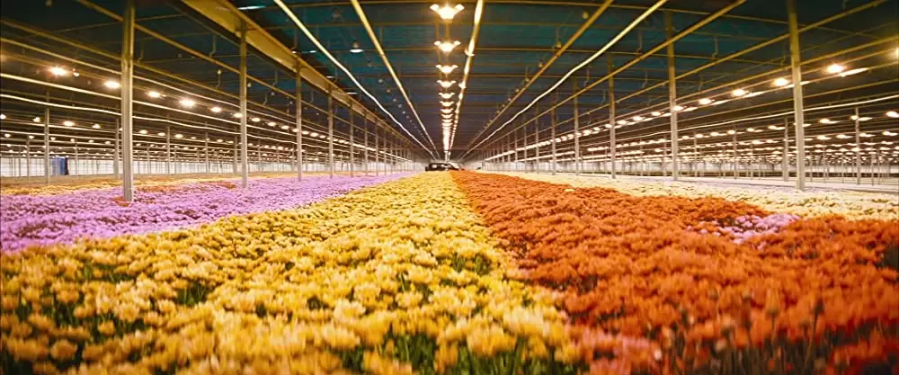 レイヤー・ケーキの画像