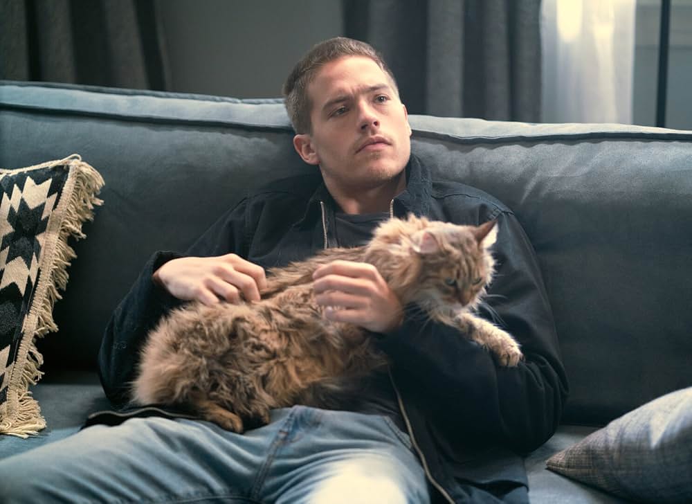 Beautiful Disaster（原題）の画像