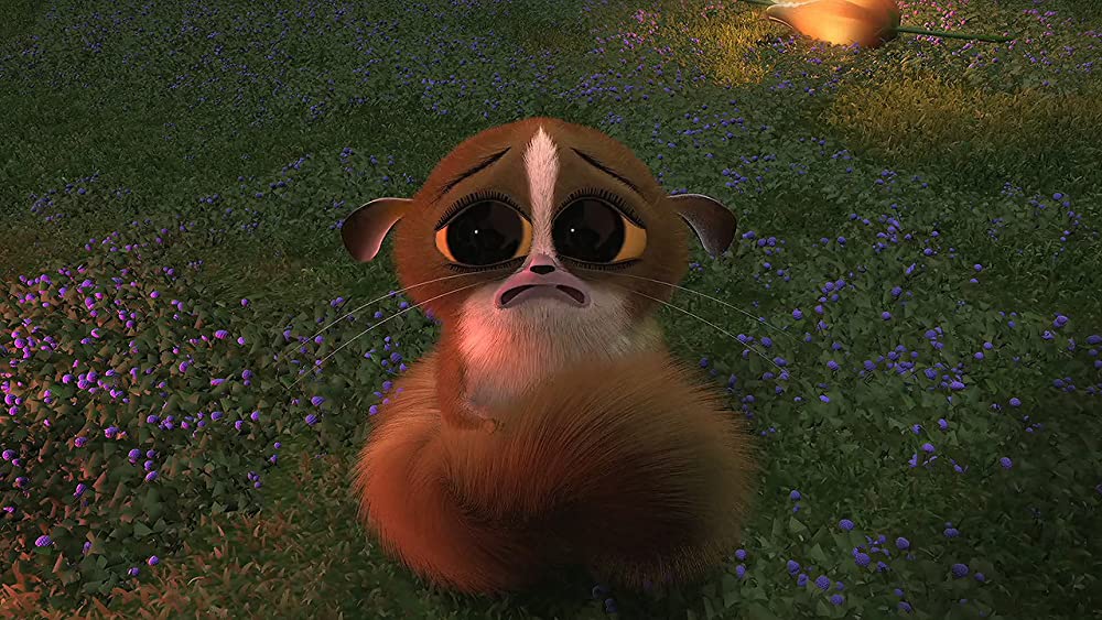 マダガスカルの画像