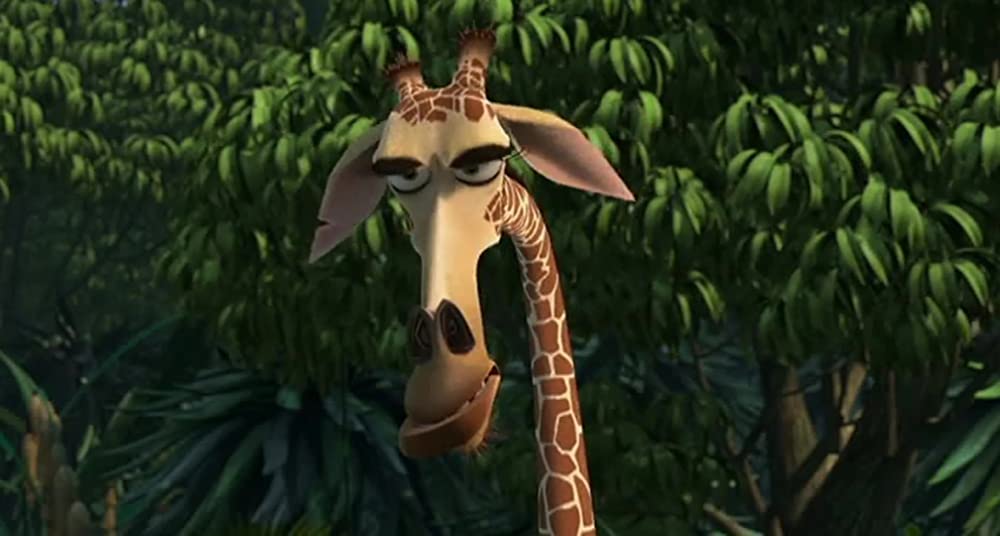 マダガスカルの画像